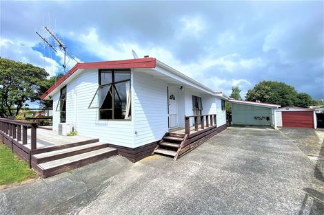 Photo of property in 145 Colgan Street, Te Awamutu, 3800