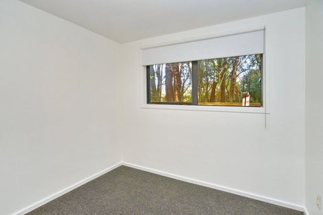 Photo of property in 1/33 Springfield Road, St Albans, Christchurch, 8014