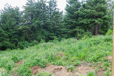 Photo of property in 13 Allan Street, Dannevirke, 4930