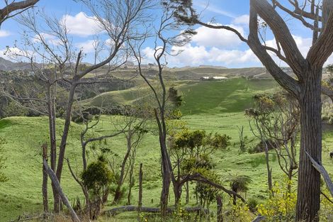 Photo of property in 1088 South Head Road, South Head, Helensville, 0874
