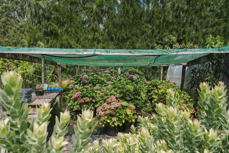 Photo of property in 259 Wainui Road South, Whakamarama, Katikati, 3181