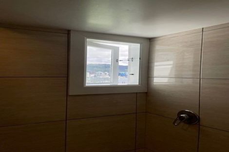 Photo of property in 20 Earls Terrace, Mount Victoria, Wellington, 6011