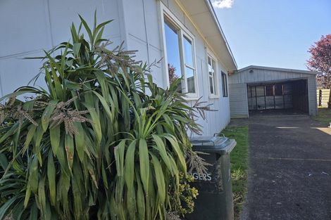 Photo of property in 10 Freyberg Crescent, Pukekohe, 2120