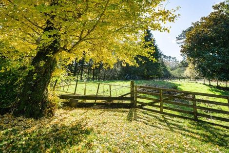 Photo of property in 16 Somerset Street, Waihi, 3610