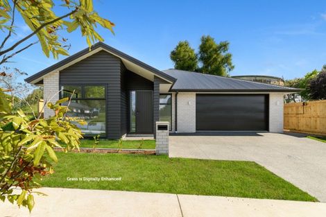 Photo of property in 10 Omanga Way, Bethlehem, 3110