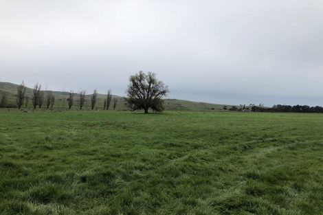 Photo of property in 65 Beach Road, Porangahau, 4293