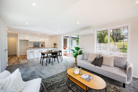 Photo of property in 500a Ferguson Street, Palmerston North, 4410