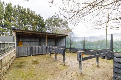 Photo of property in 33 Neumans Line, Marton, 4789