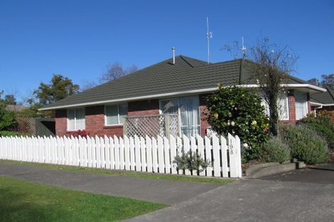 Photo of property in 198 Vogel Street, Roslyn, Palmerston North, 4414