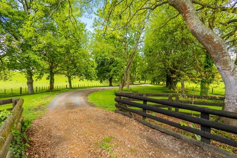 Photo of property in 228 Pond Road, Matamata, 3472