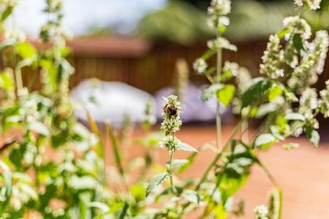 Photo of property in 17 Kiriwai Road, Paremata, Porirua, 5024