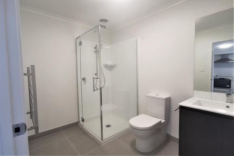 Photo of property in 45 Kauri Amber Road, Westgate, Auckland, 0614