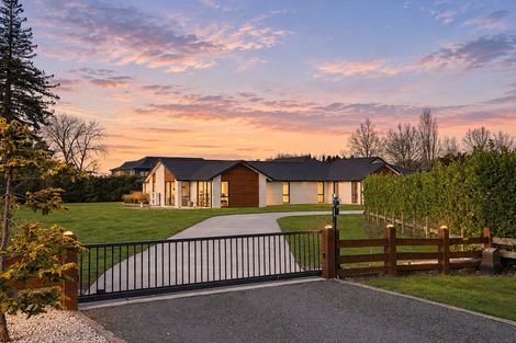 Photo of property in 8 Figgmartin Lane, Tamahere, Hamilton, 3283