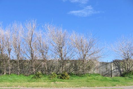 Photo of property in 28 Thomas Place, Foxton Beach, Foxton, 4815