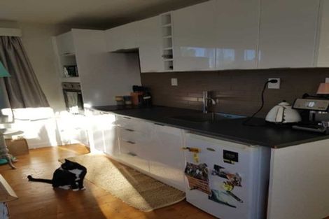 Photo of property in 52 Tuarangi Road, Grey Lynn, Auckland, 1021
