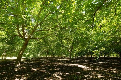 Photo of property in 22 Madeleys Road, Clarkville, Kaiapoi, 7692