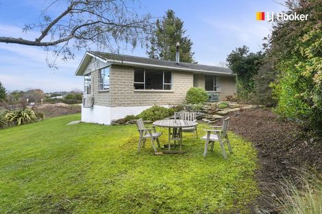 Photo of property in 2 Bourke Street, Waikouaiti, 9510