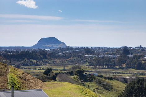 Photo of property in 79d Crawford Road, Minden, Tauranga, 3171