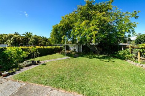 Photo of property in 246 College Street, West End, Palmerston North, 4412