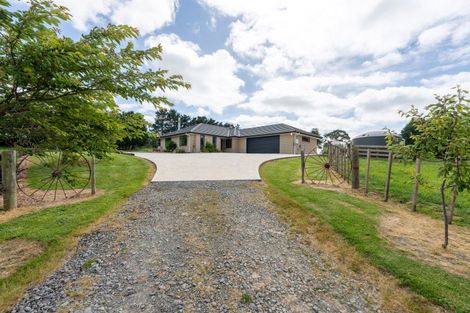 Photo of property in 29 Vogel Street, Halcombe, Feilding, 4779
