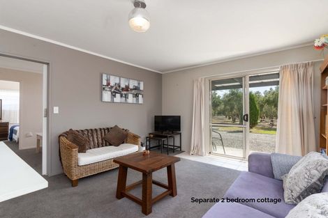 Photo of property in 399 Lake Ferry Road, Dyerville, Martinborough, 5781