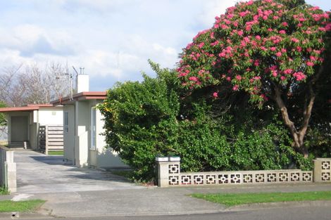 Photo of property in 142 College Street, Awapuni, Palmerston North, 4412