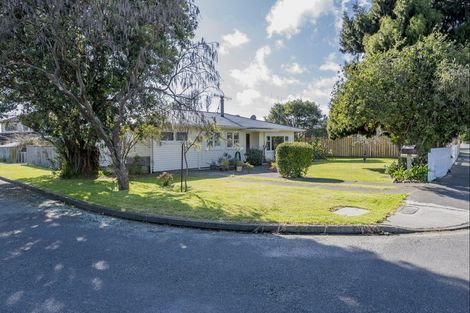 Photo of property in 13 Lemon Street, Otaki, 5512
