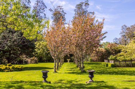 Photo of property in 186a Te Whiti Road, Homebush, Masterton, 5885