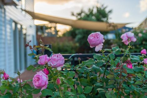 Photo of property in 38a Pokapu Street, Titirangi, Auckland, 0600