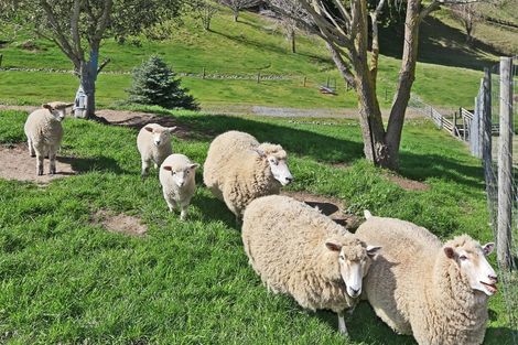 Photo of property in 682 Swamp Road, Puketapu, Napier, 4183