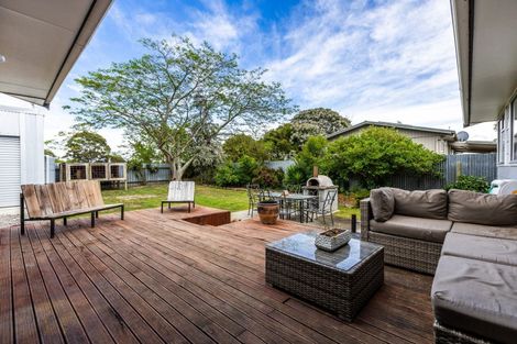 Photo of property in 9 Cabot Place, Flaxmere, Hastings, 4120