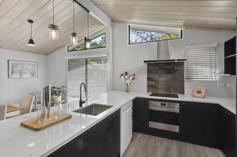 Photo of property in 44 Kowhai Street, Hamilton Lake, Hamilton, 3204