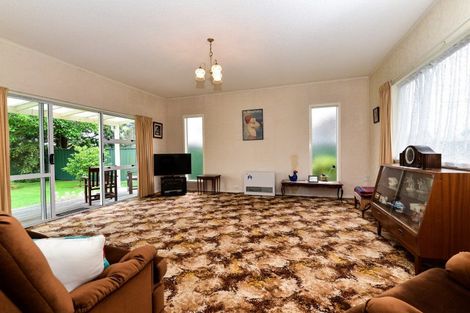 Photo of property in 53 Alfred Street, Fairfield, Hamilton, 3214