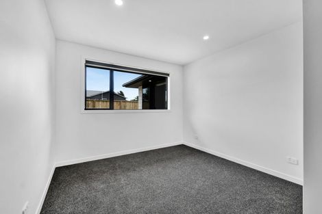 Photo of property in 119a Hamlet Street, Stratford, 4332