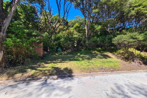 Photo of property in 98 Kowhai Drive, Te Kouma, Coromandel, 3581