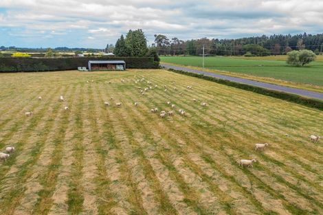 Photo of property in 398 Deans Road, Darfield, 7571