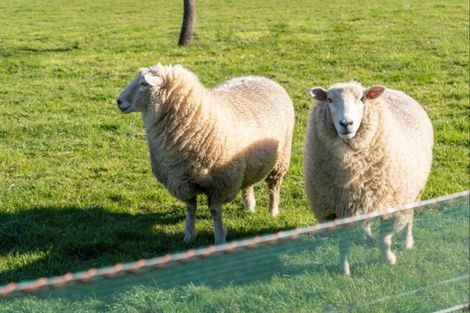 Photo of property in 148 Willow Park Drive, Opaki, Masterton, 5871