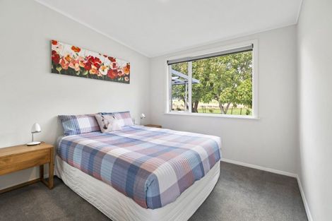 Photo of property in 23 Hennesey Road, Shannon, Palmerston North, 4474