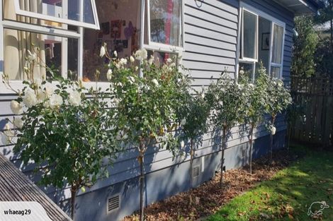 Photo of property in 9 Pickett Place, Morrinsville, 3300