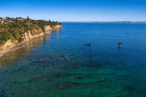 Photo of property in 1418 Whangaparaoa Road, Army Bay, Whangaparaoa, 0930