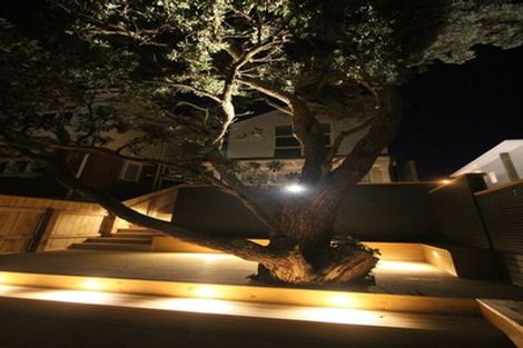 Photo of property in 44 Thompson Street, Mount Cook, Wellington, 6011