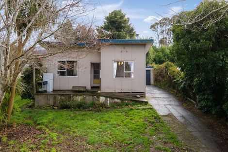 Photo of property in 94 Roberts Street, Waihi, 3610