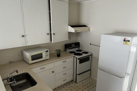 Photo of property in 19 Sheen Street, Roslyn, Dunedin, 9010