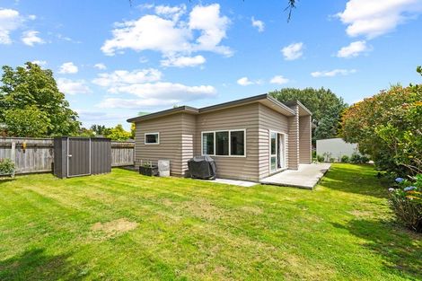 Photo of property in 77 Dublin Street, Martinborough, 5711