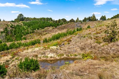 Photo of property in 416 Houto Road, Titoki, Whangarei, 0172