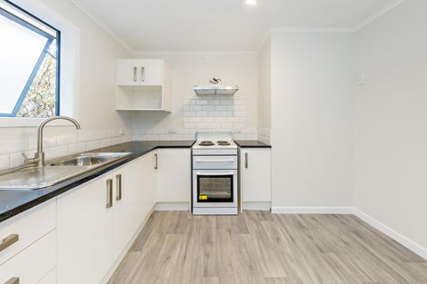 Photo of property in 16 Noel Burnside Road, Wiri, Auckland, 2025