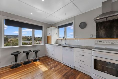 Photo of property in 3 Panmure Avenue, Calton Hill, Dunedin, 9012