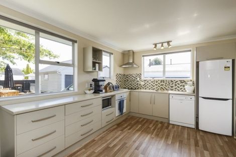 Photo of property in 117 Tremaine Avenue, Westbrook, Palmerston North, 4412