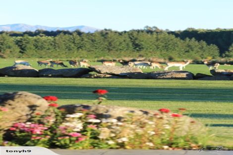 Photo of property in 18 Meadowlinks Lane, Pleasant Point, 7974