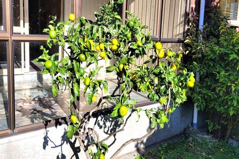 Photo of property in 17 Awanui Drive, Waikanae, 5036